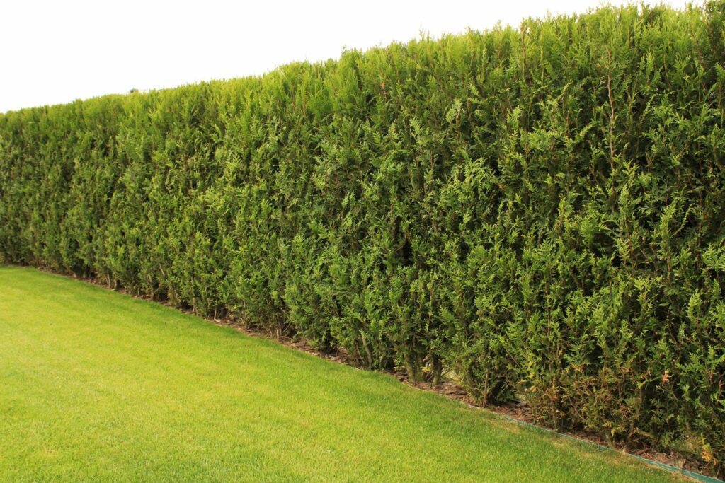 124e8462 8f88 4f2b 8596 9aa23cc9660a