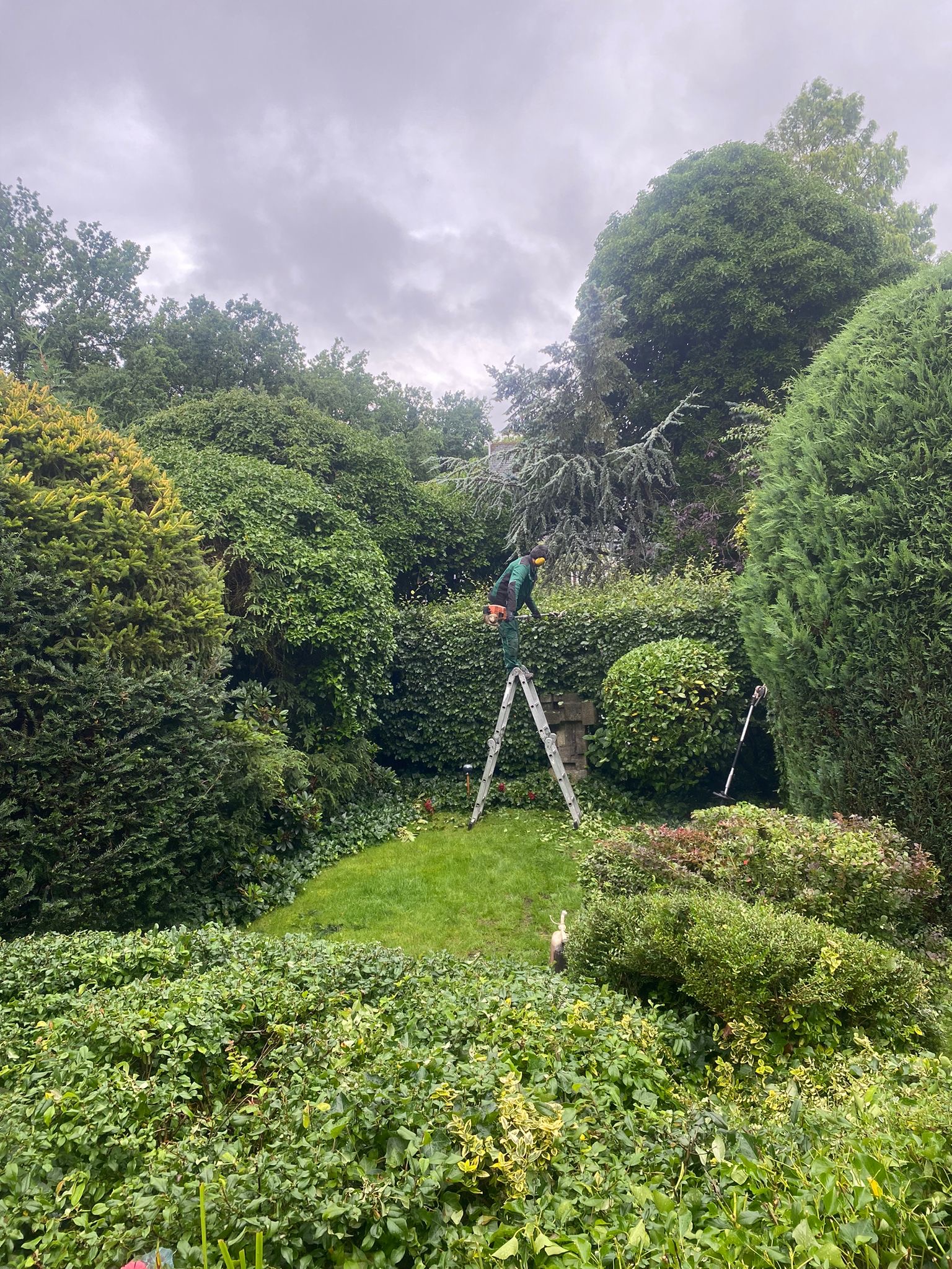 be31f421 1496 4073 b382 2abb69bc028b